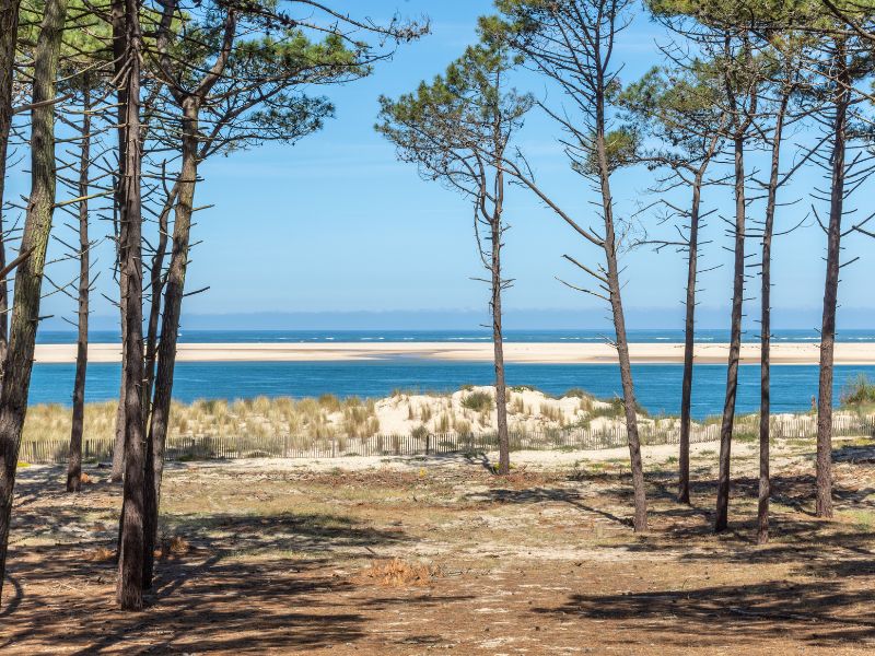 Arcachon Bay (France), sandbank of Arguin and Gascony forest