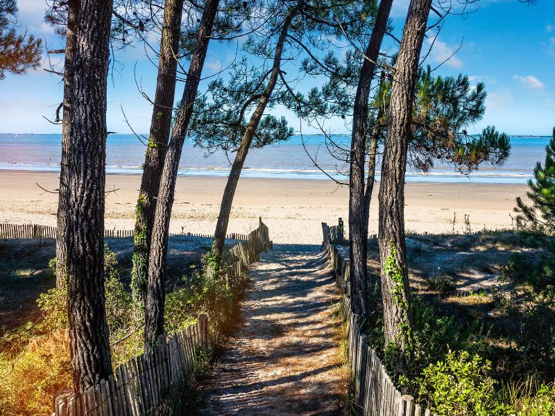 Beaches In Charente Maritime